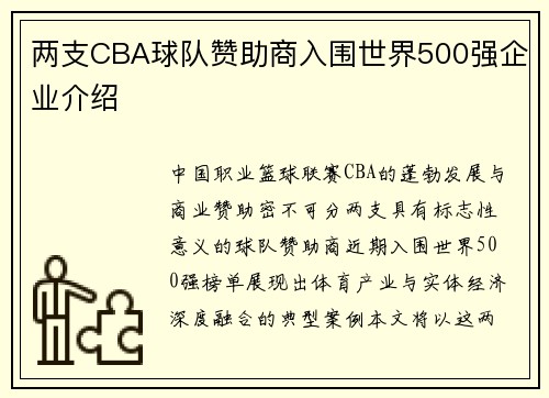 两支CBA球队赞助商入围世界500强企业介绍